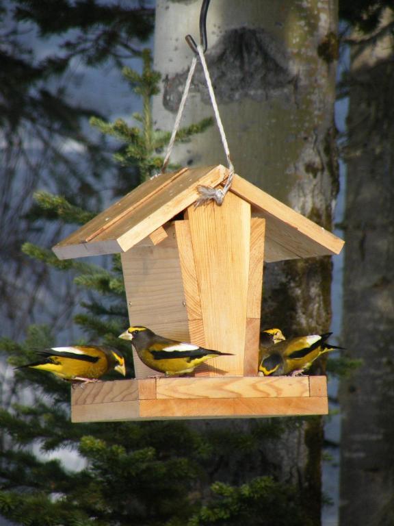 Silvern Lake Trail Bed And Breakfast Smithers Dış mekan fotoğraf